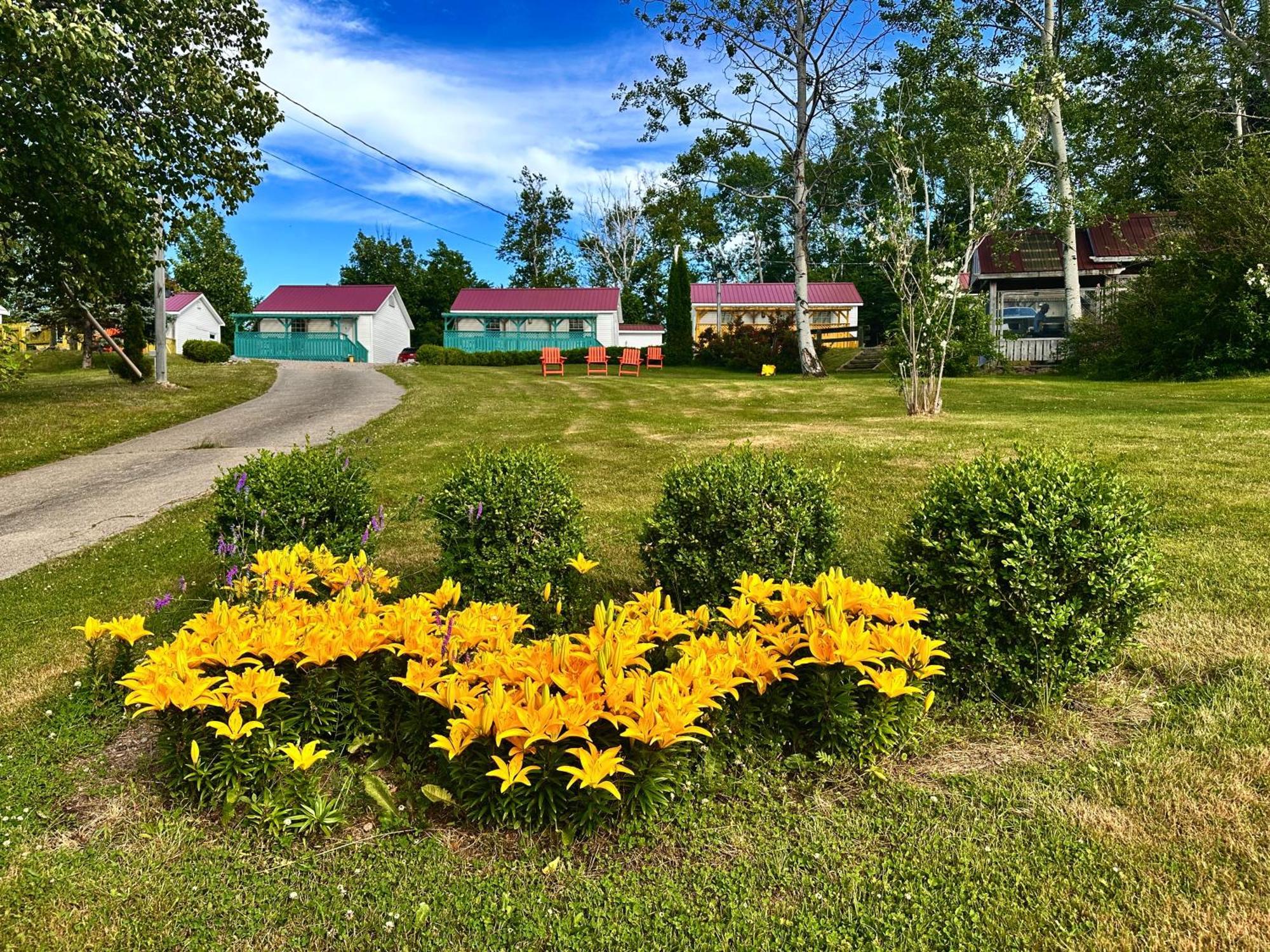 Skyline Cabins Ингониш Экстерьер фото